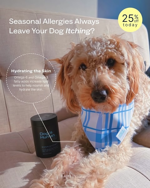 This ad creative uses a relatable pet portrait combined with a clear educational overlay to explain how a multivitamin product helps with seasonal skin irritation.